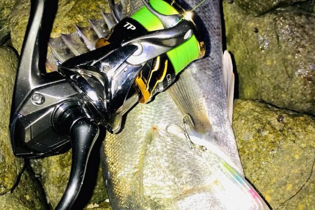 釣具 リール オーバーホール ラインローラーカスタム